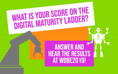 What is your score on the digital maturity ladder?