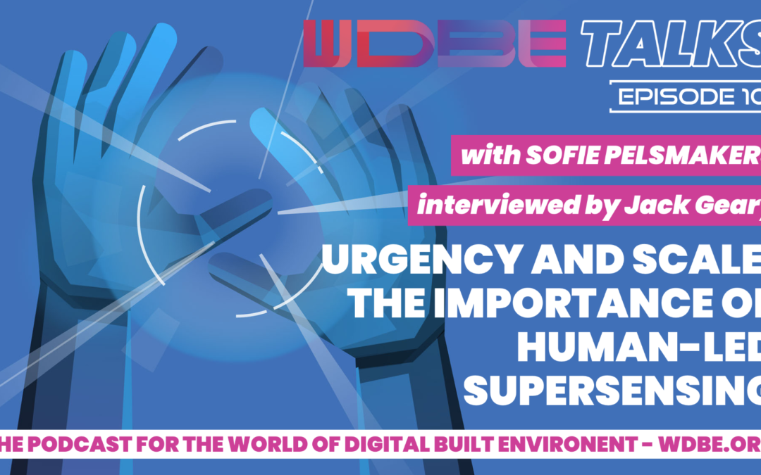 WDBE-talks: Urgency and Scale: Discussing the Importance of Human-Led Supersensing