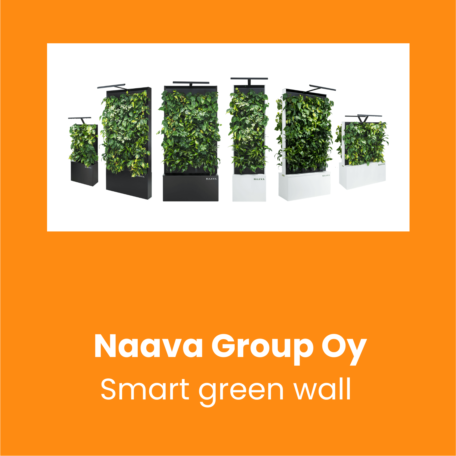 Naava Group Oy